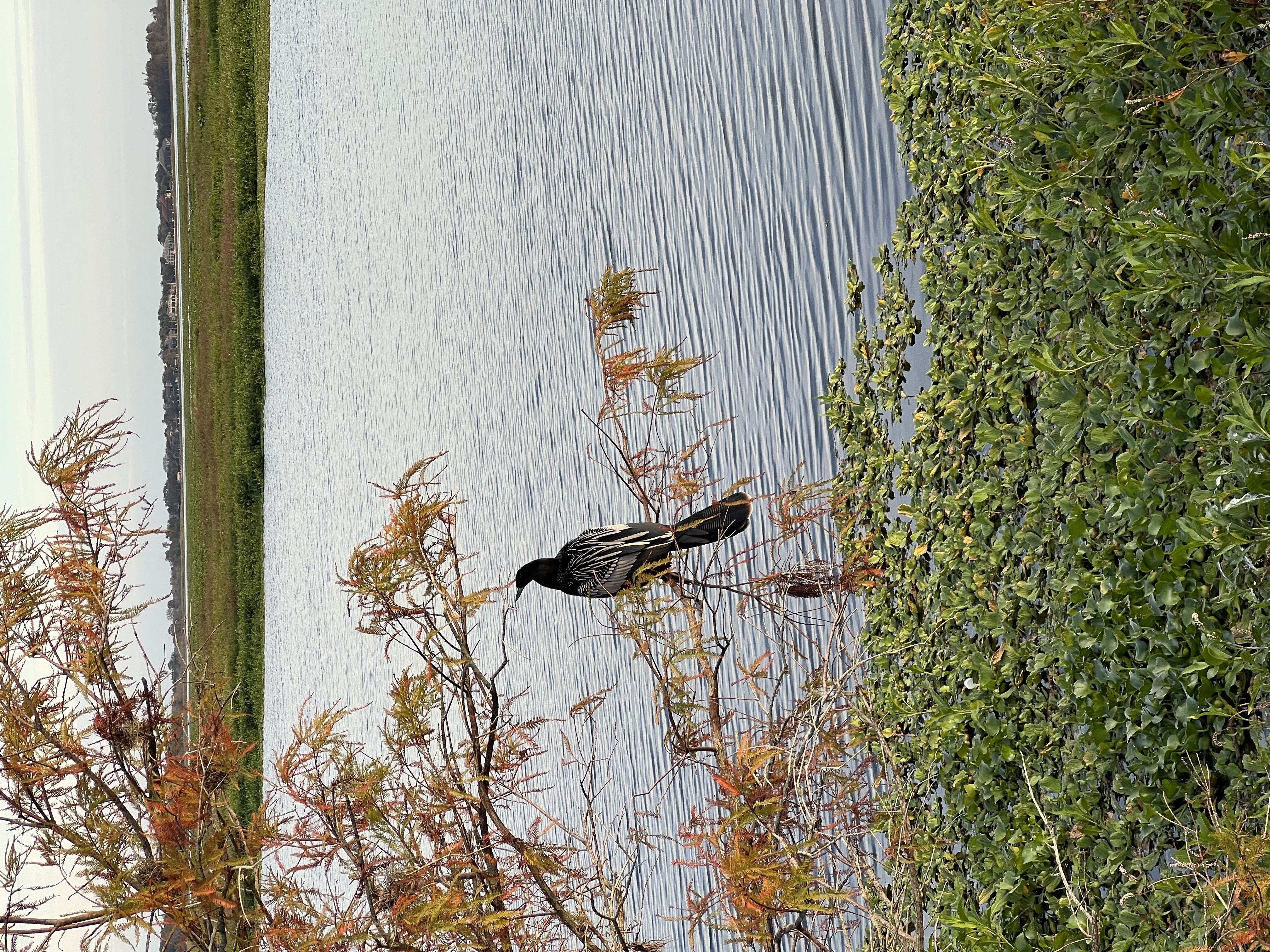./2024/12 - Thanksgiving/IMG_3990.jpg